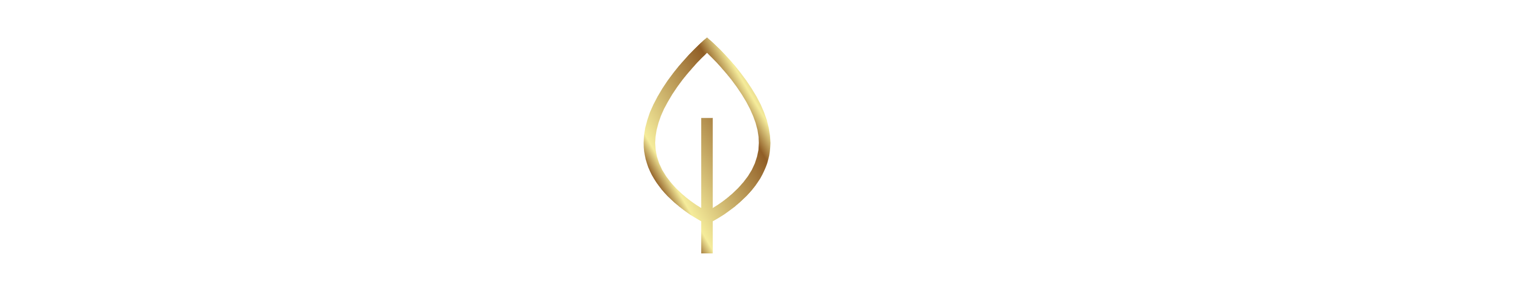 Nayar Capital